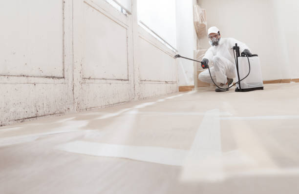 24/7 Emergency Commercial Mold Remediation experts in Lock Haven, PA